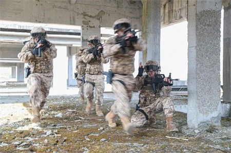 直击武警特战实战化反恐演练