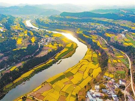 旌阳双东通江凯江河两岸春色美！