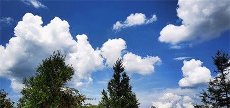 天哪，怎么这么好看的颜值？世界人民都不淡定了......