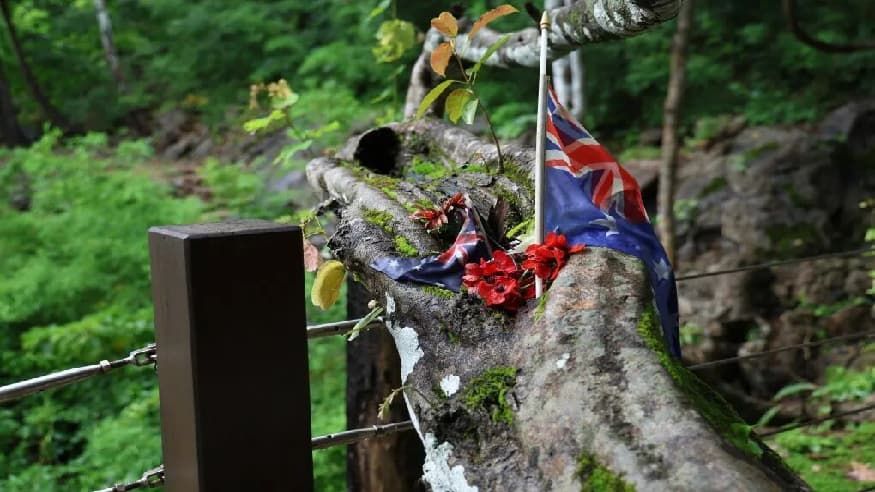 日本无条件投降81周年之际 重访桂河大桥“死亡铁路”