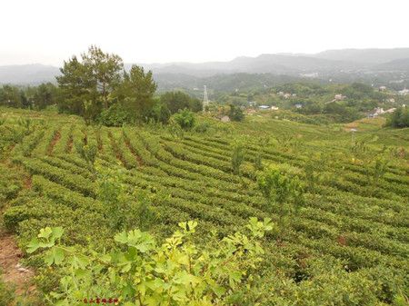 f36d08ea24dd3d7d6e4e60cac6c199e9.jpg f36d08ea24dd3d7d6e4e60cac6c199e9.jpg