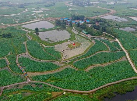 03636ca4f6948ebea2cea3696a27d4fe.jpg 03636ca4f6948ebea2cea3696a27d4fe.jpg