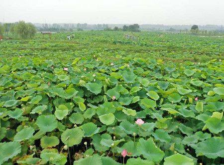 91bdf9c82060bf25fda3cc3f984f4324.jpg 91bdf9c82060bf25fda3cc3f984f4324.jpg