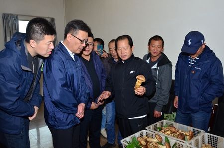 78726062464c70483b8a08ea5763ea3a.jpg 78726062464c70483b8a08ea5763ea3a.jpg