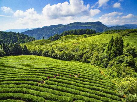 41f3d6eca52fb9ca33d651cba163c4da.jpg 41f3d6eca52fb9ca33d651cba163c4da.jpg