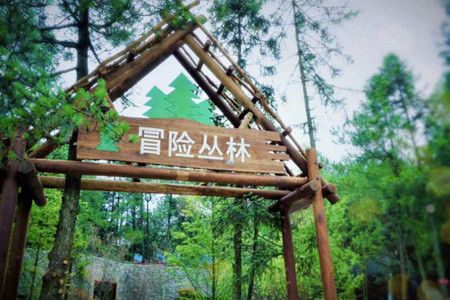 44fd296e133bb0a19a7a40d883a0efd0.jpg 44fd296e133bb0a19a7a40d883a0efd0.jpg