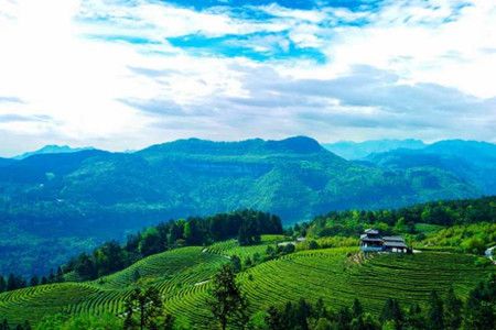 f609e8315e67be2a3794d3fa0372691f.jpg f609e8315e67be2a3794d3fa0372691f.jpg