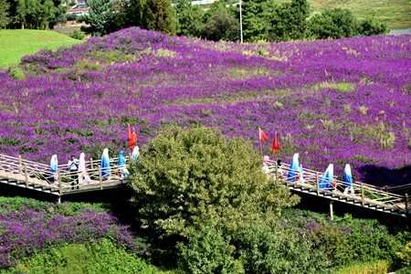 7d62b77082f7c3fe0d5386fbc695acbb.jpg 7d62b77082f7c3fe0d5386fbc695acbb.jpg