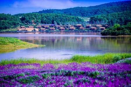 cc81139a44365ad51b5a18e14876e3ac.jpg cc81139a44365ad51b5a18e14876e3ac.jpg