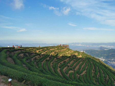 3d685bdc018608c671ea7a90ccd8097c.jpg 3d685bdc018608c671ea7a90ccd8097c.jpg