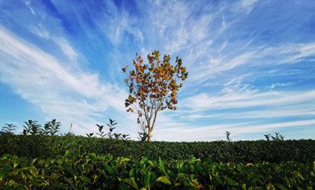 b89b8a2f4e596477eecf11a76146bc93.jpg b89b8a2f4e596477eecf11a76146bc93.jpg