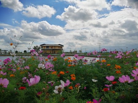 45397d453431de44a4f24b195b6a3fcf.jpg 45397d453431de44a4f24b195b6a3fcf.jpg