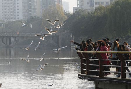 6cd04d533a0b9faacd9add79a942965f.jpg 6cd04d533a0b9faacd9add79a942965f.jpg