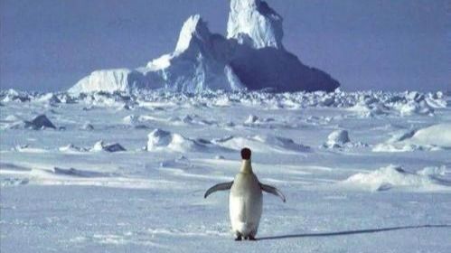 08e0d3927b1e4b4670b2ab1a006a70c3.jpg 08e0d3927b1e4b4670b2ab1a006a70c3.jpg