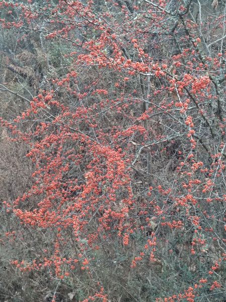 0d94bd9d1607a527ed20416c2041bbe5.jpg 0d94bd9d1607a527ed20416c2041bbe5.jpg