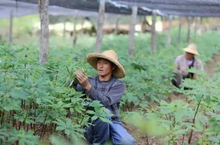 914c8ceb06aee023644a6490b6a817ee.jpg 914c8ceb06aee023644a6490b6a817ee.jpg