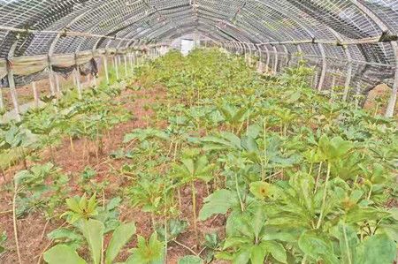 cd97981d42b436e28b079d939baf8b8c.jpg cd97981d42b436e28b079d939baf8b8c.jpg