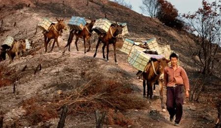 1930cd1fd87f9cb24fee13f78f420860.jpg 1930cd1fd87f9cb24fee13f78f420860.jpg