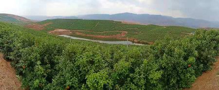 624bffeb318347e44e77b7a3892fe7f9.jpg 624bffeb318347e44e77b7a3892fe7f9.jpg