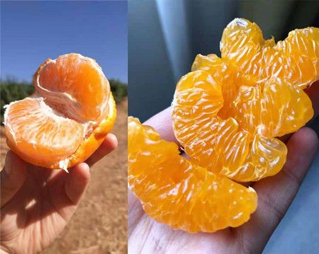 94689550848cd2ca4c944041b490ab5a.jpg 94689550848cd2ca4c944041b490ab5a.jpg