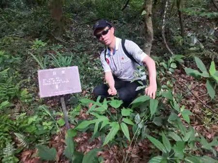 2349d5cd1e2b423da8cf209647ae1339.jpg 2349d5cd1e2b423da8cf209647ae1339.jpg