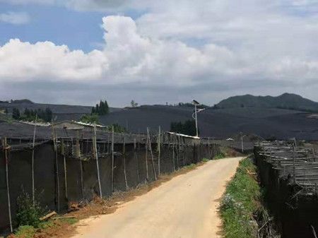 6302f8db024b176ea99cc5ed17cef764.jpg 6302f8db024b176ea99cc5ed17cef764.jpg