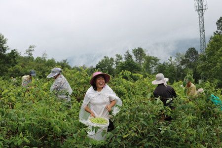 428bee271e50ee3a74f2906aa9a93086.jpg 428bee271e50ee3a74f2906aa9a93086.jpg