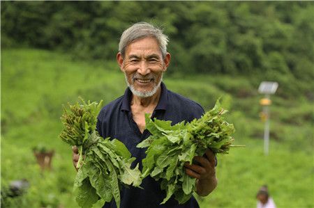 b29f2ea5921cb5fc4c664e7fdc889f64.jpg b29f2ea5921cb5fc4c664e7fdc889f64.jpg