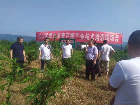 e40cb32c4d9e0b8fd54b24ad63976302.jpg e40cb32c4d9e0b8fd54b24ad63976302.jpg