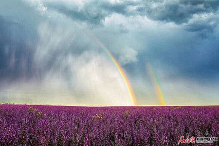 97ed844709ae6b24db5bd047216411d7.jpg 97ed844709ae6b24db5bd047216411d7.jpg