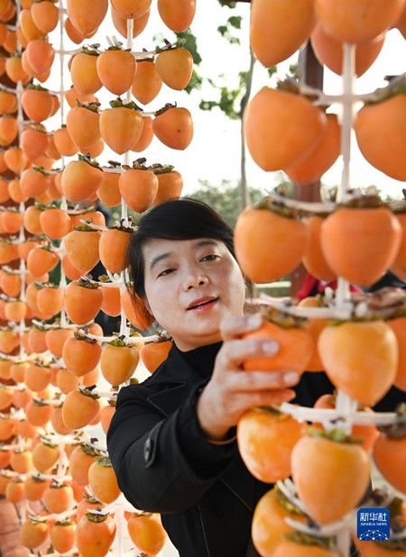 8bfba7fa8d2063e6bab8913d56e357b0.jpg 8bfba7fa8d2063e6bab8913d56e357b0.jpg