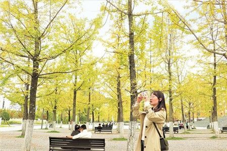 08a6e25eaf81516700bf0b923c0b4848.jpg 08a6e25eaf81516700bf0b923c0b4848.jpg