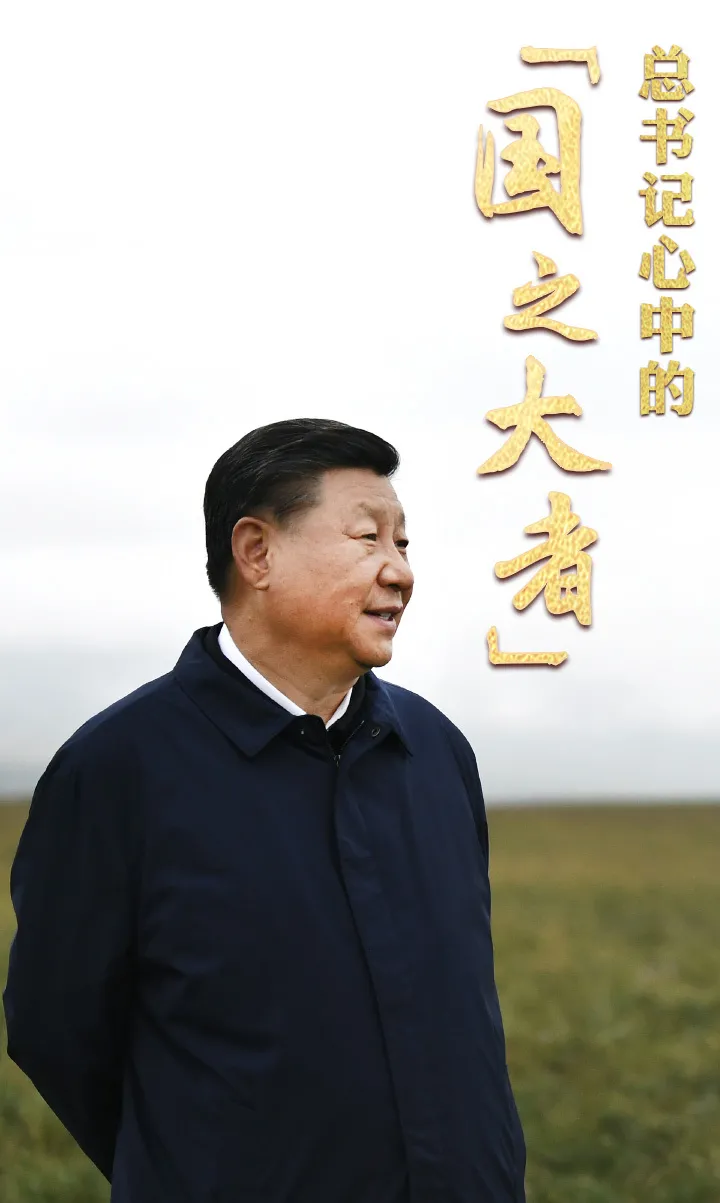 点击查看大图 图片