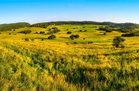 a3ad9392d4f32db07d68d9f8ce90d87d.jpg a3ad9392d4f32db07d68d9f8ce90d87d.jpg