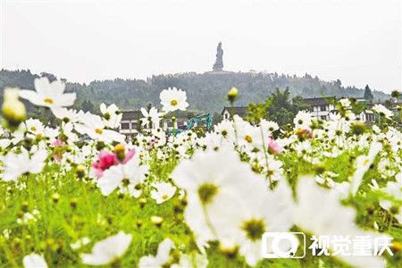 d24df39ed8d793c0abd5c0e0abb4c6d4.jpg d24df39ed8d793c0abd5c0e0abb4c6d4.jpg