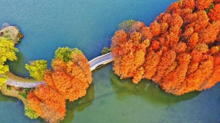 1dfa69f823e88a54c5878e4665952e20.jpg 1dfa69f823e88a54c5878e4665952e20.jpg