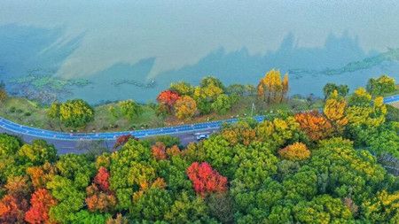 1f9b252a3f0e07ed20cf59fdfdfddf53.jpg 1f9b252a3f0e07ed20cf59fdfdfddf53.jpg