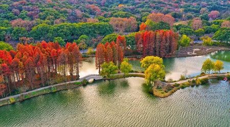 296ba9b3a45dd953d0c9b58ee09d18aa.jpg 296ba9b3a45dd953d0c9b58ee09d18aa.jpg