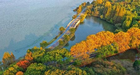 a187e720a718b940dfc2ee451f0f95df.jpg a187e720a718b940dfc2ee451f0f95df.jpg