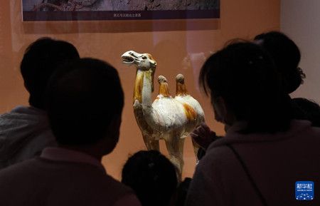 793167af20846e303114ade7c0b55ad5.jpg 793167af20846e303114ade7c0b55ad5.jpg