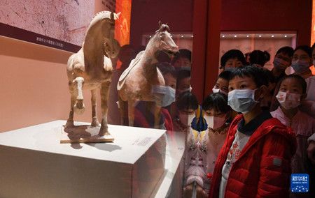 a30fbd8a51dfda8362a5a21e3f27998e.jpg a30fbd8a51dfda8362a5a21e3f27998e.jpg