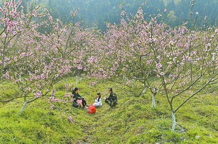 2a604af8f34ec3c7e26715f10852b37e.jpg 2a604af8f34ec3c7e26715f10852b37e.jpg