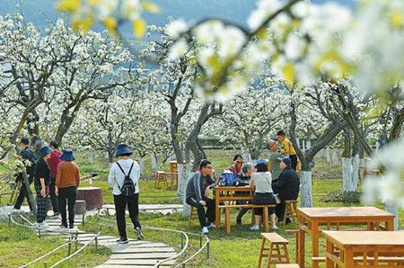 c38d98dfc0a7898777d96f33cb24fe65.jpg c38d98dfc0a7898777d96f33cb24fe65.jpg