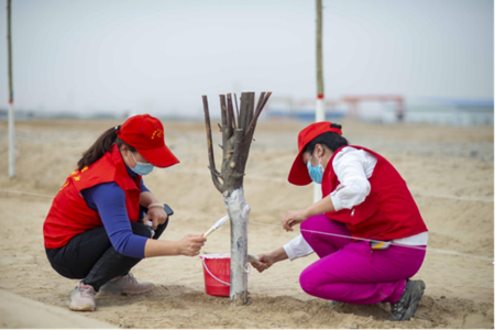 4fb1299f3ab73e2450368f91f62b58be.png 4fb1299f3ab73e2450368f91f62b58be.png