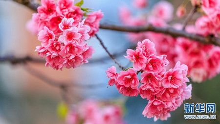 050765833b71ef35f5a78b165d3e4414.jpg 050765833b71ef35f5a78b165d3e4414.jpg