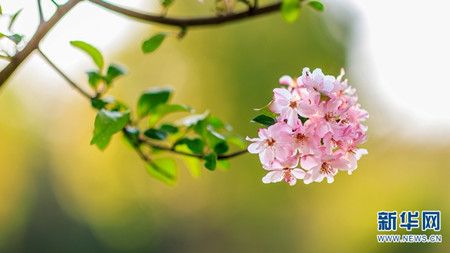 0bdefe6ff58627f58981c1d7a7d10d13.jpg 0bdefe6ff58627f58981c1d7a7d10d13.jpg