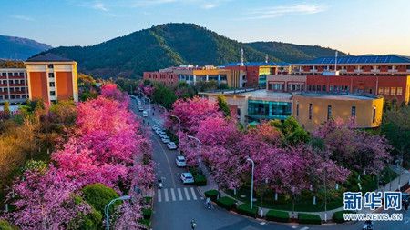 19a2a346f7a1721fe6e0b011e6b29047.jpg 19a2a346f7a1721fe6e0b011e6b29047.jpg