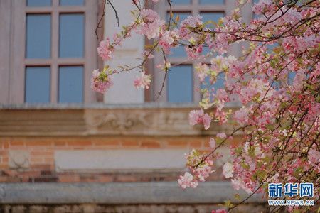 49685f868f6f891c725472de28dafa8f.jpg 49685f868f6f891c725472de28dafa8f.jpg