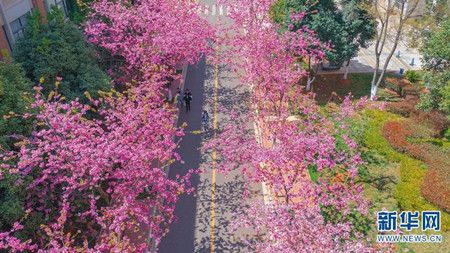 dc50df2256ad87ff29aaf5018dedfa16.jpg dc50df2256ad87ff29aaf5018dedfa16.jpg