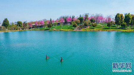 e8aa399c99d08716ac5c6c340835fc6a.jpg e8aa399c99d08716ac5c6c340835fc6a.jpg